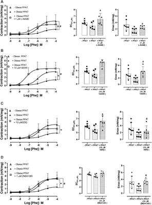 Periprostatic adipose tissue (PPAT) supernatant from obese mice releases anticontractile substances and increases human prostate epithelial cell proliferation: the role of nitric oxide and adenosine